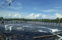 BÀN GIAO CHẾ PHẨM SINH HỌC COSTE MT 02 CHO HTX HÒA HIỆP, HUYỆN PHÚ TÂN, TỈNH CÀ MAU