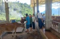 HTX nông nghiệp Hà Trúc đào tạo nghề để người dân bám đất, bám làng