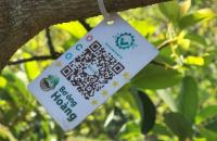 Học tập số, “chìa khóa” để HTX không bị bỏ lại phía sau