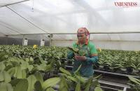 Khoa học công nghệ tạo sức bật để HTX tăng trưởng đột phá