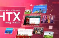 Kinh tế hợp tác, hợp tác xã tháng 11: Thúc đẩy chuỗi giá trị với doanh nghiệp, hướng ra 'biển lớn'