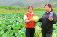 HTX xây dựng thương hiệu nhờ đưa nông sản lên 'chợ số'