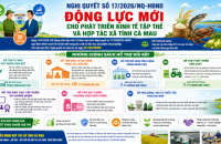 Nghị quyết số 17/2026/NQ-HĐND: Động lực mới cho phát triển kinh tế tập thể và hợp tác xã tỉnh Cà Mau