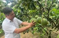 Trái ngọt từ sự đổi mới: “Lan tỏa cách làm hay, nhân rộng hiệu quả”