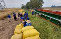 Giữ lửa đồng quê, kết nối giá trị: “ Dấu ấn của người thủ lĩnh – chấp cánh hạt gạo quê hương”