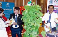 CHỦ ĐỘNG HỘI NHẬP, TẠO ĐÀ TĂNG TRƯỞNG CAO