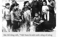 11/4 – NGÀY HỢP TÁC XÃ VIỆT NAM, DẤU MỐC LỊCH SỬ VÀ GIÁ TRỊ CỦA PHONG TRÀO HỢP TÁC XÃ