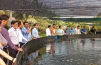 Đoàn công tác Tỉnh uỷ Cà Mau khảo sát thực tế hoạt động của Hợp tác xã Nông nghiệp tổng hợp Ba Đình