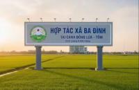 Hợp tác xã Nông nghiệp tổng hợp Ba Đình tiên phong ứng dụng trí tuệ nhân tạo  trong công tác tuyên truyền, lan tỏa giá trị kinh tế tập thể