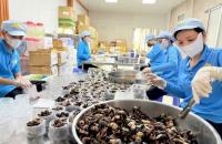LIÊN KẾT CHUỖI GIÁ TRỊ VÀ HỢP TÁC VÙNG TRONG PHÁT TRIỂN KINH TẾ TẬP THỂ