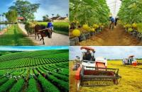 Liên kết Kinh tế tập thể - hợp tác xã: Mảnh ghép chiến lược cho mô hình tăng trưởng mới