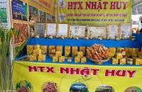 HTX Nhật Huy – Hướng đi kinh tế tuần hoàn từ cây nghệ