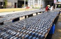 Cà Mau đặt mục tiêu thành lập mới 50 hợp tác xã trong năm 2026