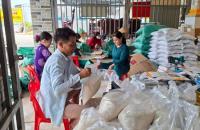 Niềm vui của thành viên Hợp tác xã nông nghiệp tổng hợp Ba Đình sau giải thưởng gạo ngon nhất Đồng bằng sông Cửu Long năm 2026