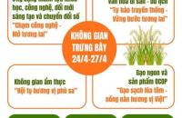 Cơ hội để Hợp tác xã tỉnh Cà Mau khẳng định thương hiệu tại Cuộc thi Gạo ngon vùng Đồng bằng sông Cửu Long năm 2026
