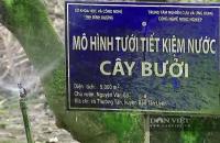 Hợp tác xã liên kết sản xuất sạch, hữu cơ tạo sức bật cho nông nghiệp TP.HCM