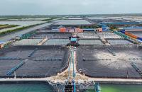 NỀN TẢNG XÂY DỰNG “THỦ PHỦ” TÔM CÔNG NGHỆ CAO