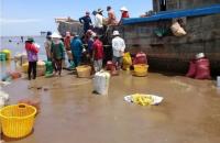 Triển khai Nghị định số 293/2025/NĐ-CP ngày 10/11/2025 của Chính phủ về mức lương tối thiểu – Các Hợp tác xã cần biết và thực hiện từ ngày 01/01/2026