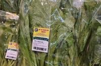 ỦY BAN NHÂN DÂN TỈNH CÀ MAU BAN HÀNH KẾ HOẠCH THỰC HIỆN CHƯƠNG TRÌNH HÀNH ĐỘNG QUỐC GIA VỀ SẢN XUẤT VÀ TIÊU DÙNG BỀN VỮNG NĂM 2026