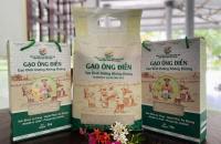 HTX Nông sản sạch Láng Tròn – Hướng đi bền vững cho nông dân vùng lúa