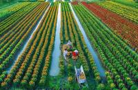 Phát huy tinh thần hợp tác vì lợi ích chung