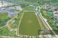 Nhóm nông dân cùng nhau thành lập Hợp tác xã, ứng dụng khoa học kỹ thuật để gia tăng thu nhập