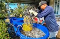 Thay đổi nhỏ, giá trị lớn