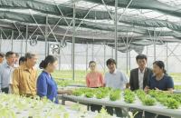 Thúc đẩy chuyển đổi số trong hợp tác xã nông nghiệp