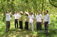 Chương trình tổng thể phát triển kinh tế tập thể TP.HCM giai đoạn 2026 - 2030: Tạo hành lang mới cho HTX bứt phá