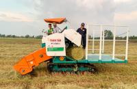 Lợi thế từ liên kết ngang với HTX