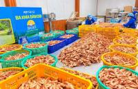 ĐẶC SẢN OCOP LÊN NGÔI DỊP TẾT