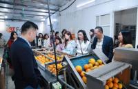 Hiệu quả từ liên kết sản xuất tập thể