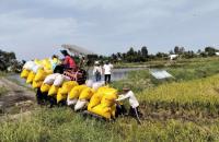 ĐỊNH HƯỚNG PHÁT TRIỂN KINH TẾ TẬP THỂ, HỢP TÁC XÃ TỈNH CÀ MAU NĂM 2026