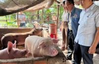 Gieo niềm tin nơi đất U Minh – Gặt hái thành quả từ mô hình Hợp tác xã