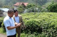 5 năm tới, hợp tác xã phải sống bằng thị trường