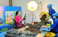 Chuyển đổi số – Động lực then chốt thúc đẩy Hợp tác xã tỉnh Cà Mau phát triển trong năm 2026