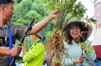 HTX chuyển đổi số từ 'gốc rễ'