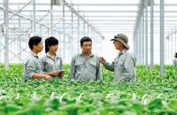 Đổi mới hoạt động tư vấn phát triển HTX: Khi lý thuyết quản trị cần đi đôi với thực tiễn thị trường