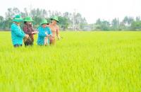 Khi hợp tác xã trở thành 