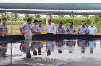 Sức bật cho hợp tác xã