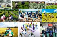 Phát triển kinh tế tập thể, hợp tác xã theo mô hình xanh, số, tuần hoàn