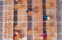 Phát triển làng nghề gắn với đặc sản