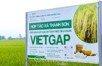 Vĩnh Mỹ hướng đến sản xuất lúa hữu cơ