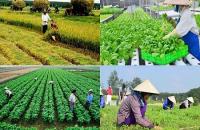 Phát triển thành viên chính thức: Nền tảng bền vững của hợp tác xã