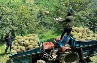 'Tiếp sức' để đồng bào dân tộc thiểu số vươn lên