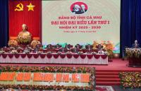 Liên minh Hợp tác xã tỉnh Cà Mau quán triệt và triển khai Chương trình hành động của Ban chấp hành Đảng bộ tỉnh thực hiện Nghị quyết Đại hội đại biểu Đảng bộ tỉnh lần thứ I, nhiệm kỳ 2025 – 2030