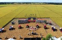 QUẢN TRỊ RỦI RO TRONG HTX: CHUYỂN TỪ THẾ BỊ ĐỘNG SANG CHỦ ĐỘNG KIẾN TẠO GIÁ TRỊ