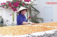 Xây dựng Nông thôn mới ở Cà Mau nhìn từ sự “vươn mình” của các hợp tác xã