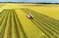 Ngôi sao nông thôn mới tỉnh Cà Mau