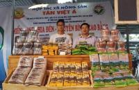 Kinh tế tập thể, HTX - 